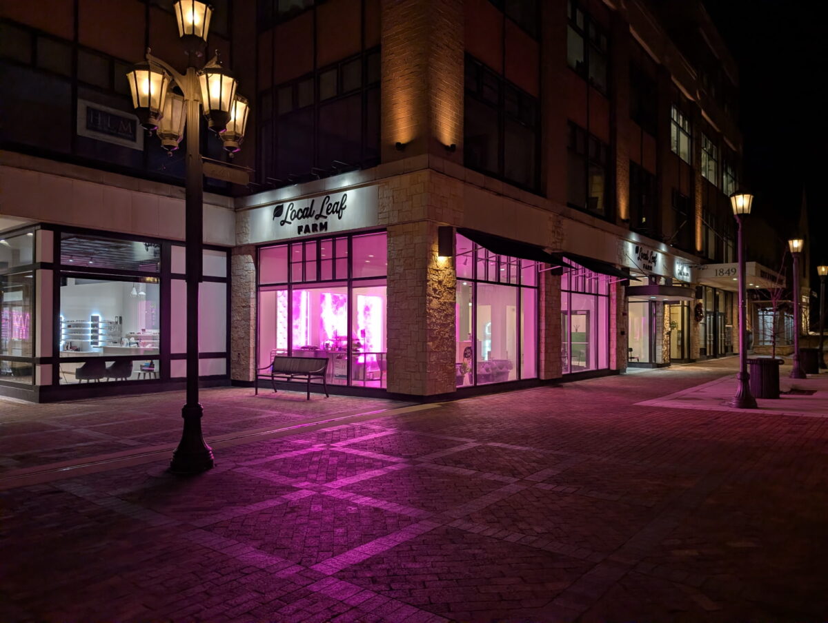 Architectual and Interior Design for Local Leaf Farm